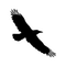 carsonkahn.com